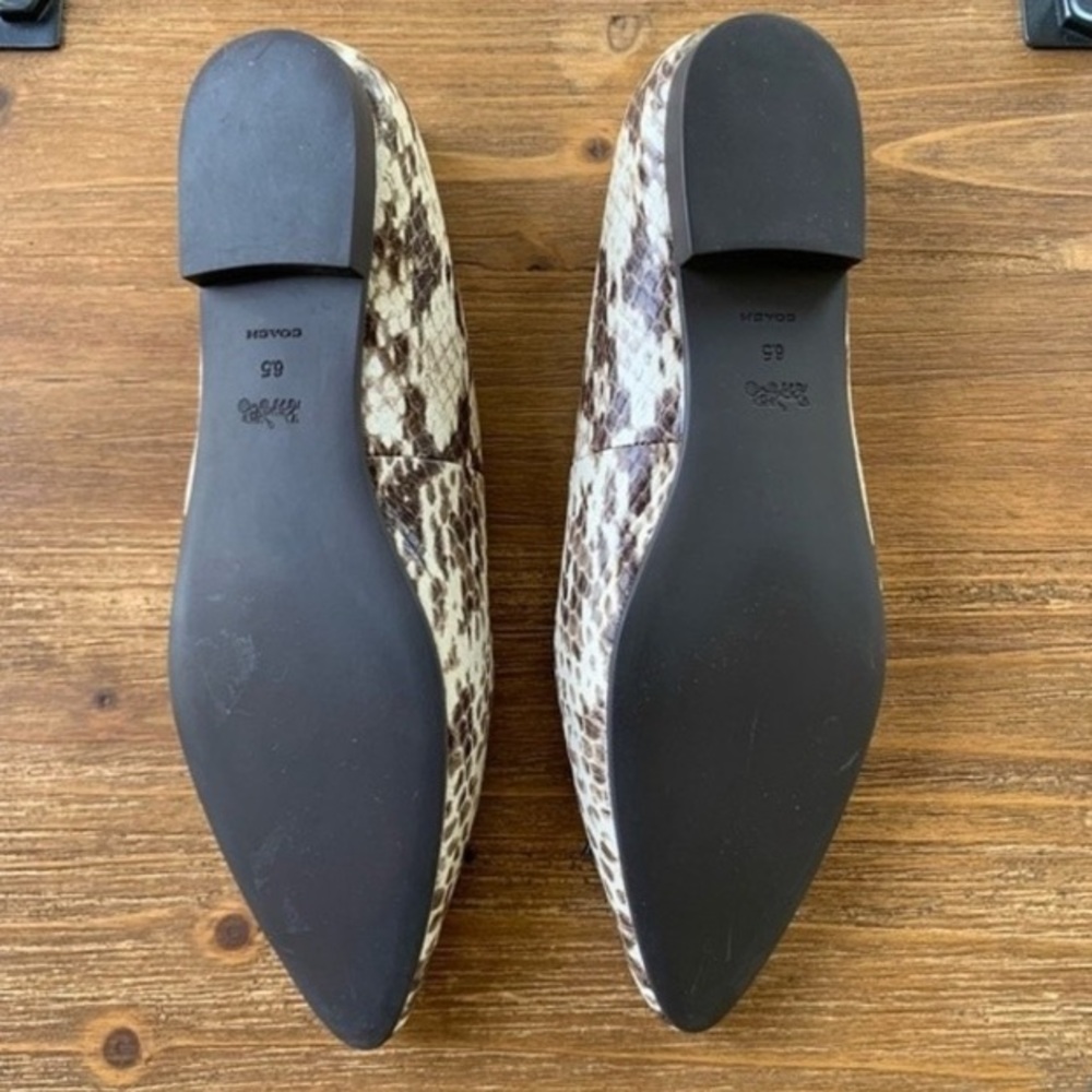 Coach Annabel Snake Print Pointed Toe Ballet Flats Sz 6.5 New! - Picture 7 of 13
